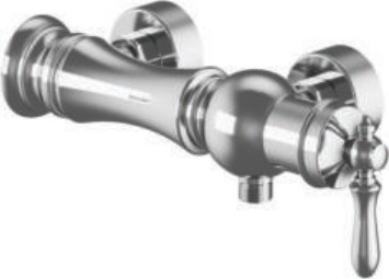 Bizans · Toilet mixer · Representative photo